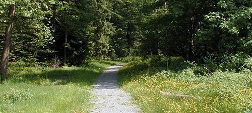 Hotel Am Bad-Wald Bad Liebenzell Zewnętrze zdjęcie